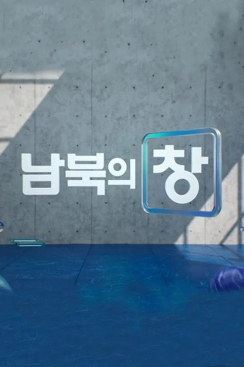 남북의 창电影海报