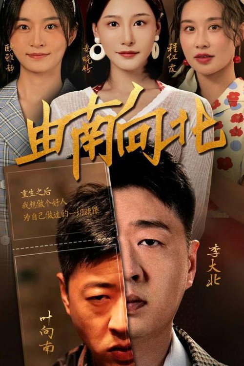 由南向北电影海报