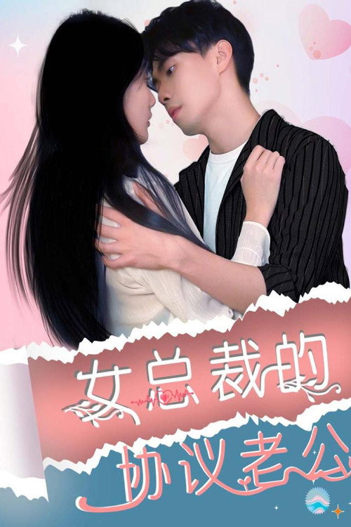 女总裁的协议老公海报