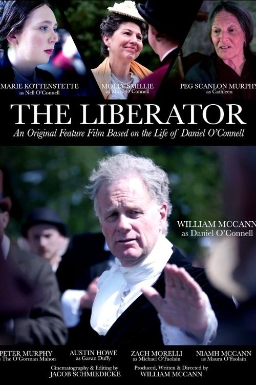 The Liberator Poster