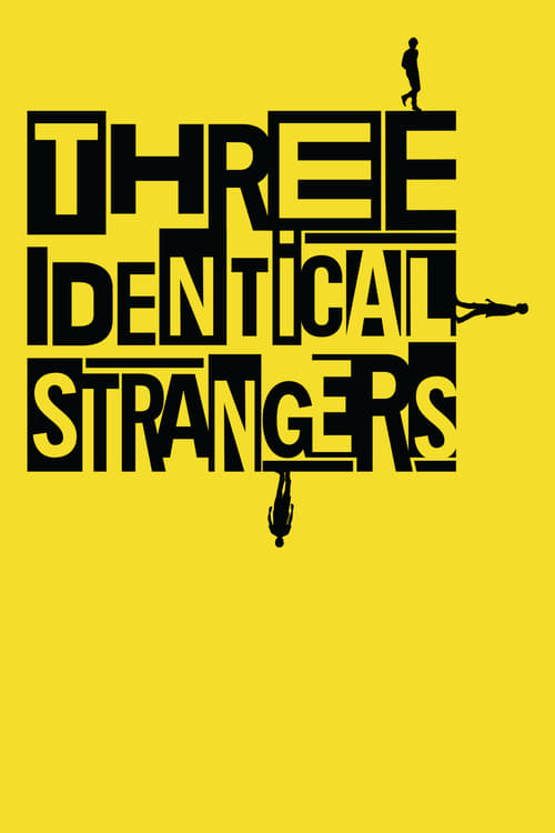 Movie image Three Identical Strangers 