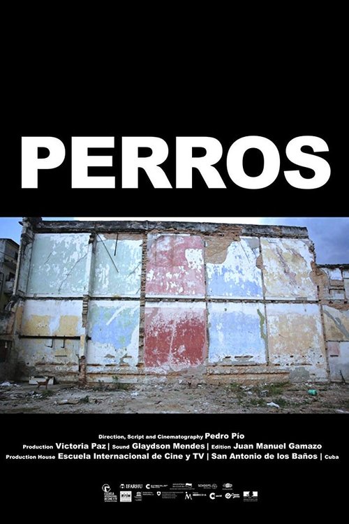 Perros poster