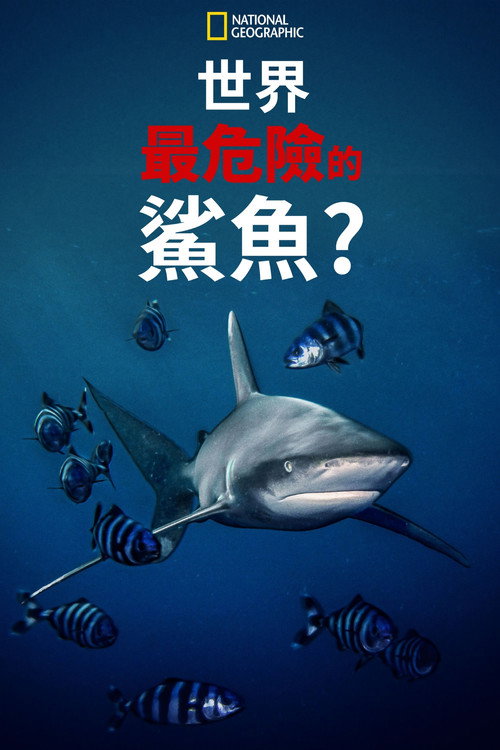 World's Most Dangerous Shark?电影海报
