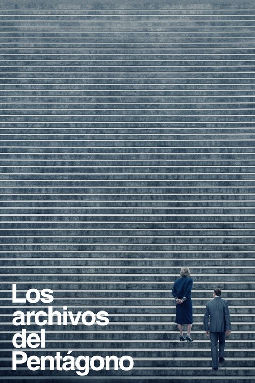 Los archivos del Pentágono Poster