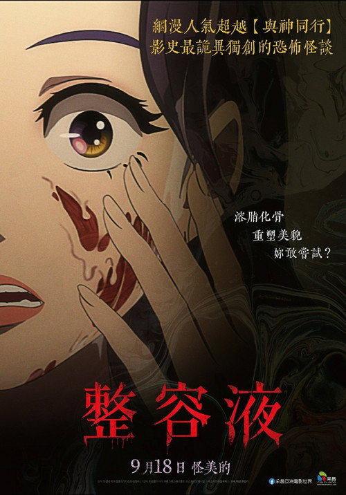 整容液电影海报