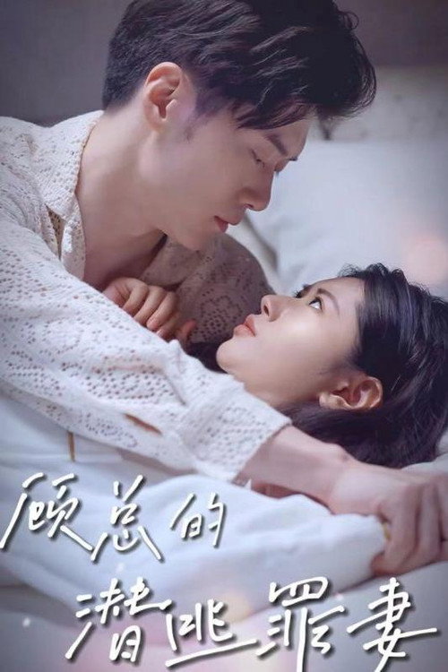 顾总的潜逃罪妻电影海报