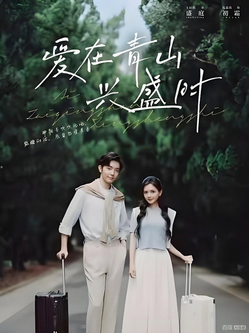 爱在青山兴盛时