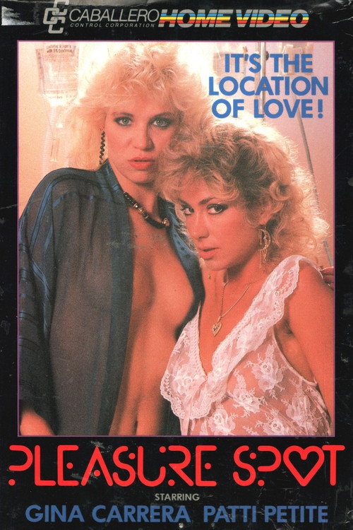 Pleasure Spot Poster