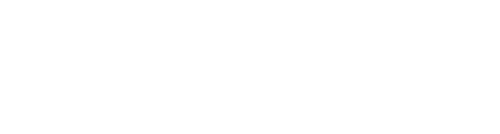 Sex, Lies and Videotape Logo