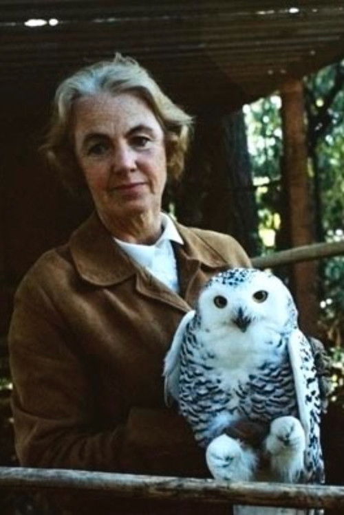 The Lady and the Owl