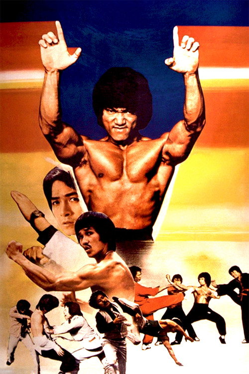 Dragon Lee Fights Again poster 2