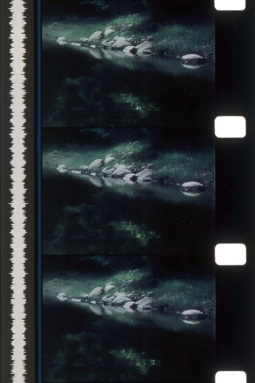 Rivers of Darkness / Rivers of Light