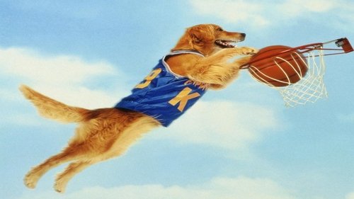 Air Bud (1997) pelicula completa en español latino oNLINE