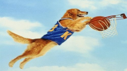 Air Bud : Buddy star des paniers (1997) Streaming Vf en Francais