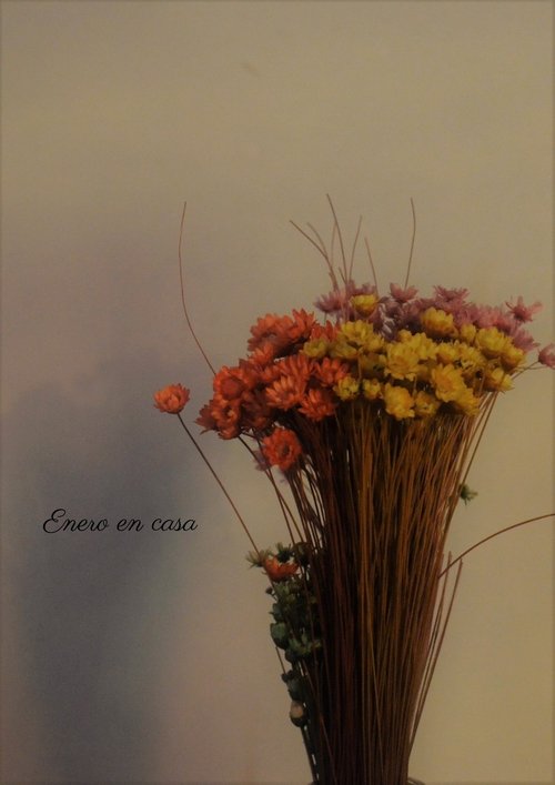 January at home