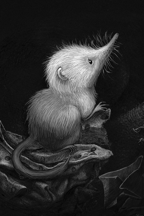 Little Shrew poster