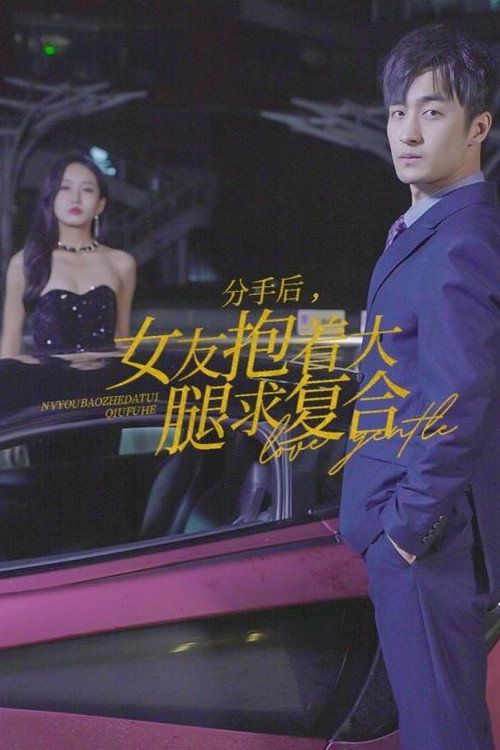 分手后，女友抱着大腿求复合电影海报