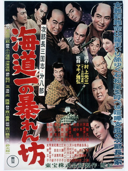 Last of the Wild Ones poster 2