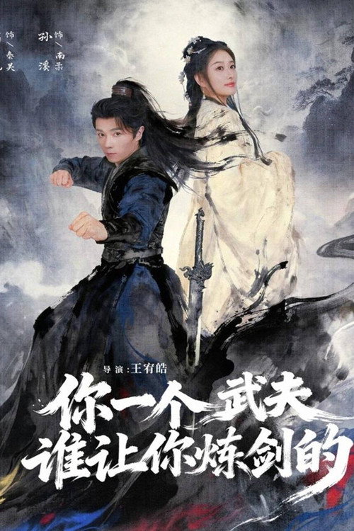 你一个武夫谁让你炼剑的电影海报