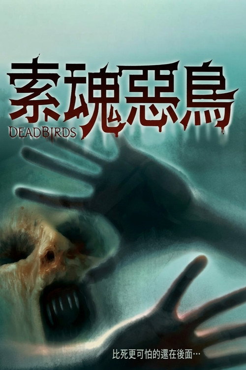 索魂恶鸟电影海报