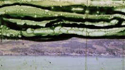 Backdrop