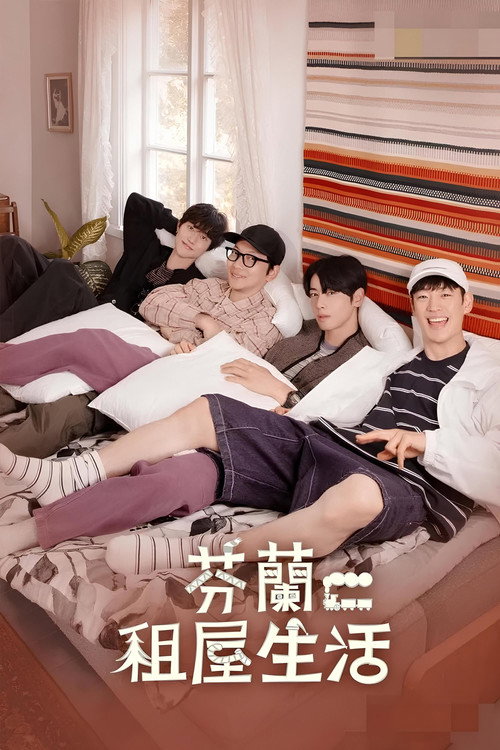 芬兰租房生活电影海报