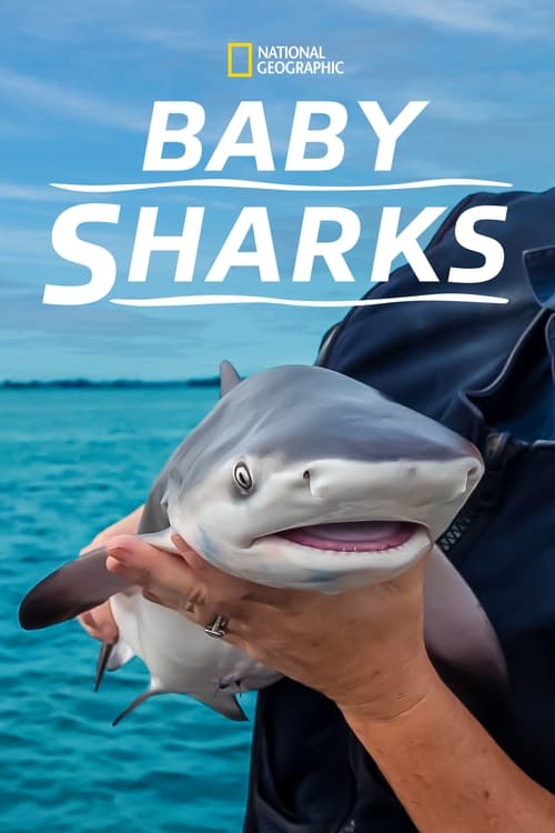 Baby+Sharks