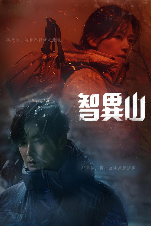 智异山电影海报