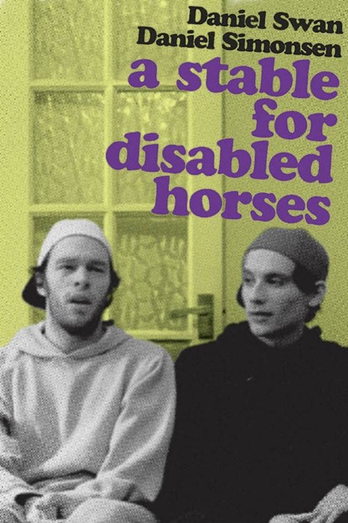 A+Stable+For+Disabled+Horses