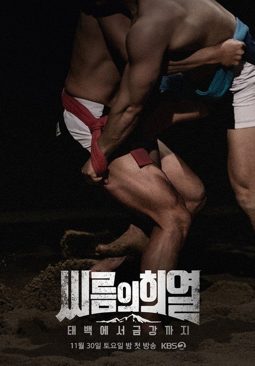 씨름의 희열 - 태백에서 금강까지 poster 2