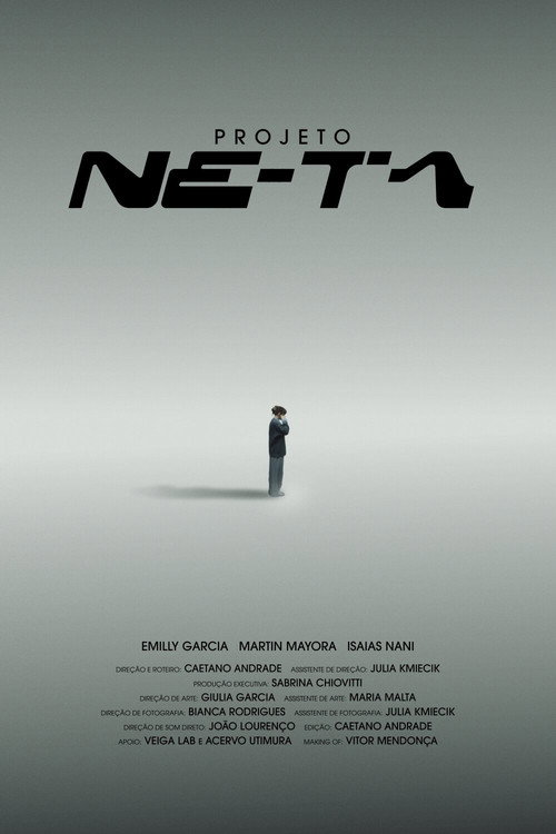 PROJETO NE-TA poster 2