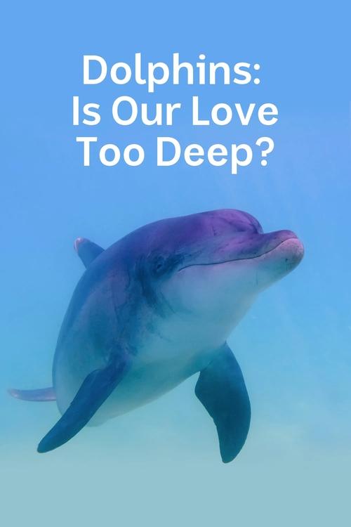 Dolphins%3A+Is+Our+Love+Too+Deep%3F