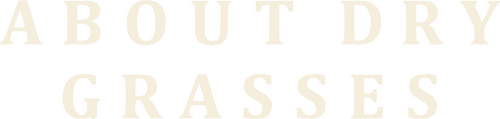 movies