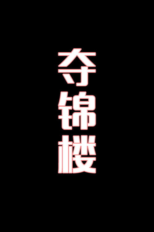 夺锦楼-花鼓戏电影海报