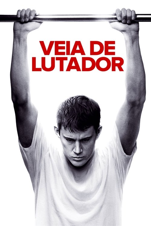 Assistir ! Lutador - A Leia das Ruas 2009 Filme Completo Dublado Online Gratis