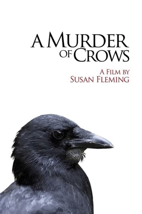 A+Murder+of+Crows
