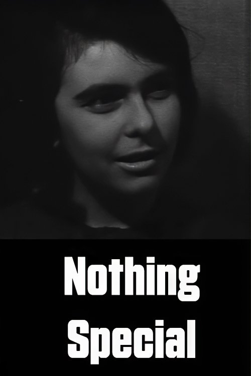 Nothing Special Poster