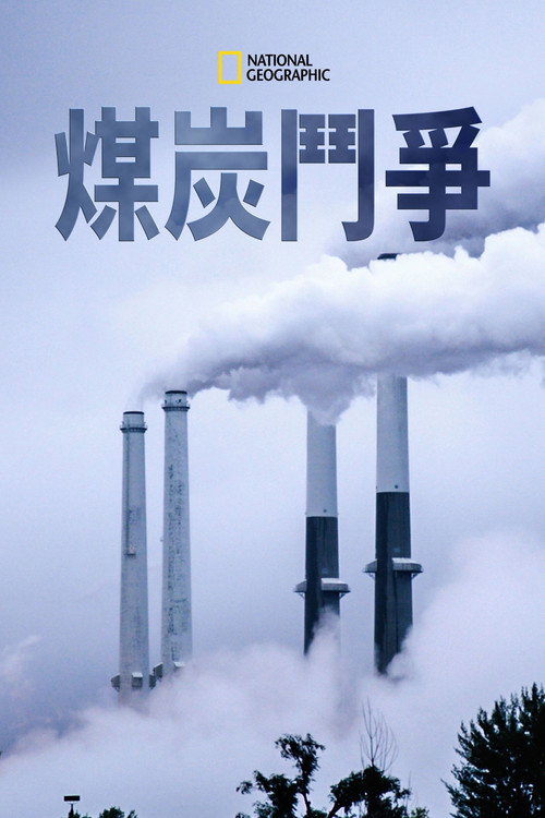 From the Ashes电影海报