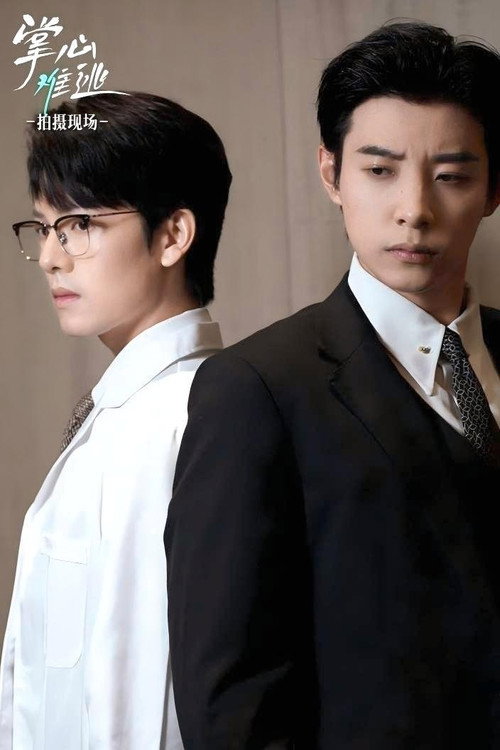 主妇之战 poster 1