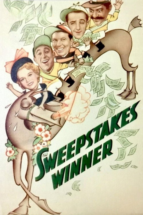 Sweepstakes Winner poster 2