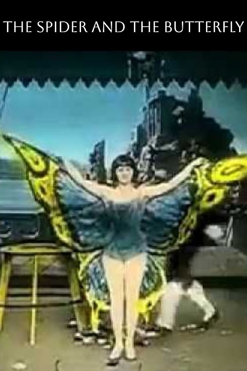 Papillon Fantastique poster