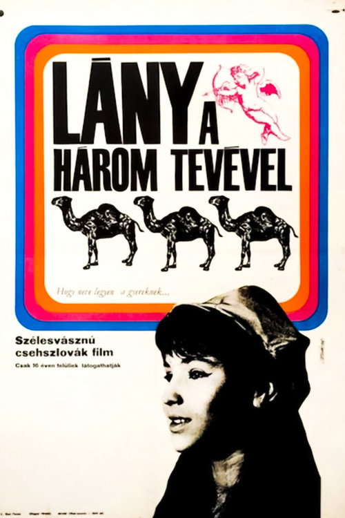 The Girl with Three Camels Poster