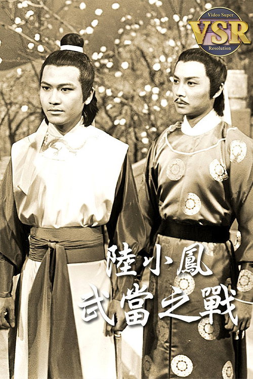 武当之战