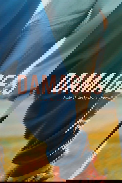Damages poster