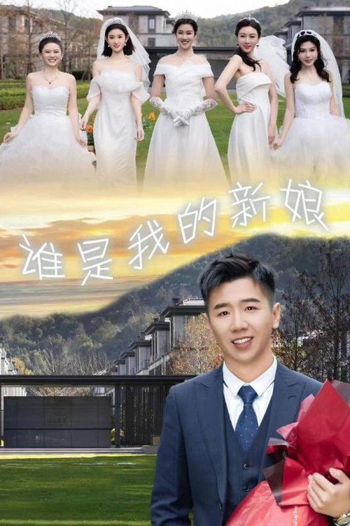 谁是我的新娘海报