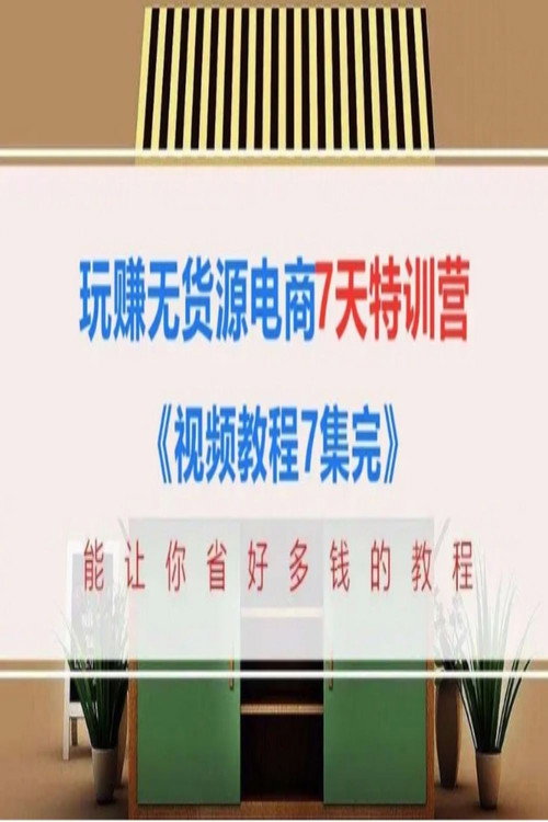 玩赚无货源电商7天特训营电影海报