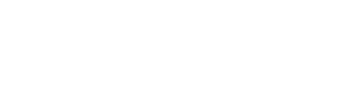 FLIGHT RISK Logo