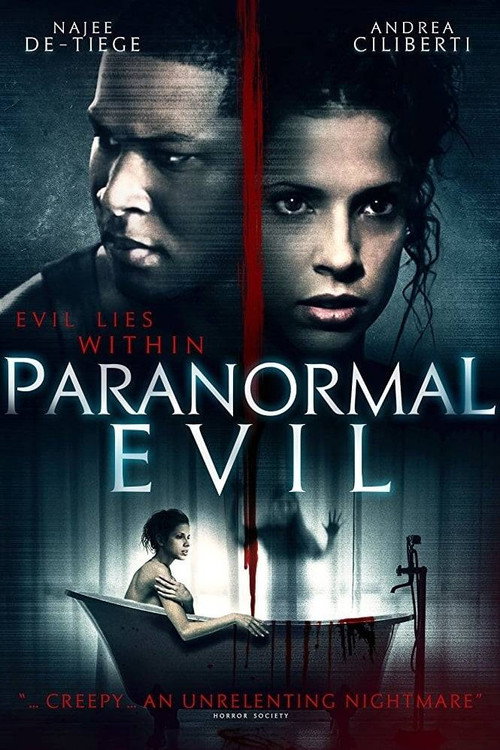 Paranormal Evil poster 5