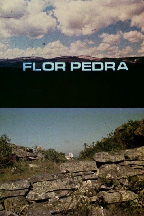 Flor Pedra Poster