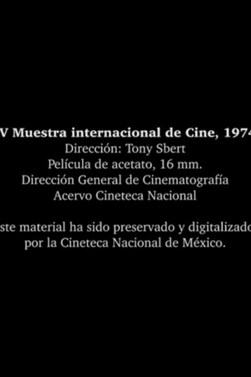 IV International Film Festival poster 2